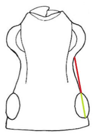 Otiorhynchus baraudi
